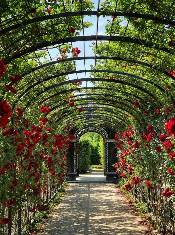 Pergola made of metal